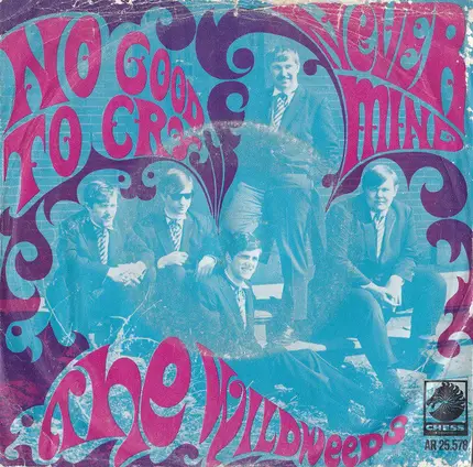 The Wildweeds - No Good To Cry / Never Mind