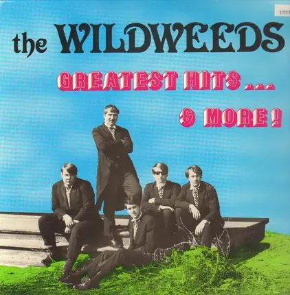 The Wildweeds - Greatest Hits... & More!