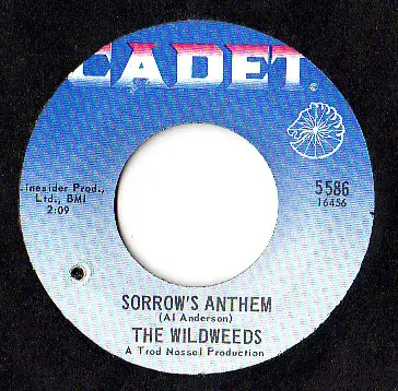 The Wildweeds - It Was Fun (While It Lasted) / Sorrow's Anthem