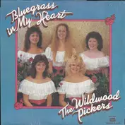 The Wildwood Pickers