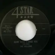 The Willows - Now That I Have You / There's A Dance Goin' On