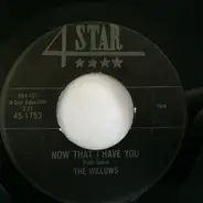 The Willows - Now That I Have You / There's A Dance Goin' On