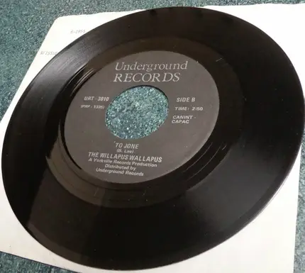The Willapuss Wallapuss / Priscilla Wright - To Jone / The Man In A Raincoat