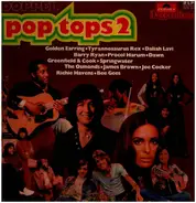 The Windows, Golden Earring, Tyrannosaurus Rex, a.o. - Doppel Pop Tops, vol. 2