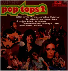 Windows - Doppel Pop Tops, vol. 2