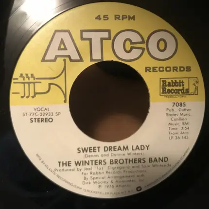 The Winters Brothers Band - I Can't Help It