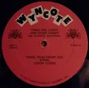 LP - The Wyncote Orchestra - Theme For Candy And Other Sweets