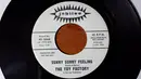 7inch Vinyl Single - The Toy Factory - Sunny Sunny Feeling