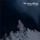 CD - The Tom Collins - Daylight Tonight