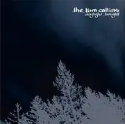 CD - The Tom Collins - Daylight Tonight