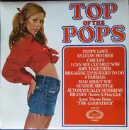 The Top Of The Poppers - Top Of The Pops Vol. 25