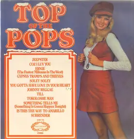 The Top Of The Poppers - Top Of The Pops Vol. 21