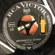 7inch Vinyl Single - The Torero's - Desperado