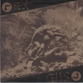 The Table - Sex Cells