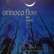 The Taliesin Orchestra - Orinoco Flow (The Music Of Enya)