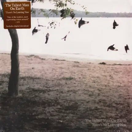 The Tallest Man On Earth - There's No Leaving Now