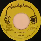 The Tamlins - Hurting Me
