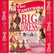 7inch Vinyl Single - The Tantrums - Big Dress
