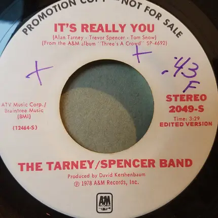 The Tarney/Spencer Band - It's Really You