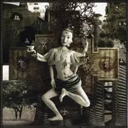 CD - The Tea Party - The Interzone Mantras