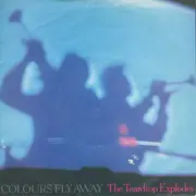 7inch Vinyl Single - The Teardrop Explodes - Colours Fly Away - Silver Injection Labels