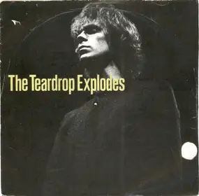 The Teardrop Explodes - You Disappear From View / Suffocate