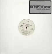 The Temple Of Hiphop Featuring Thor-El - Patiently