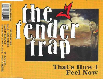 The Tender Trap - That's How I Feel Now