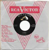 The Tennessee Moonbeams - Titanic