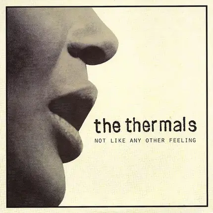 The THERMALS - Not Like Any Other Feeling