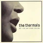 The Thermals - Not Like Any Other Feeling