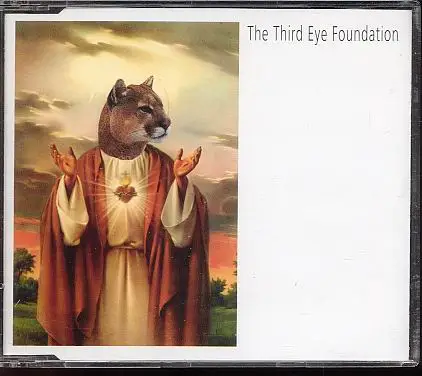 The Third Eye Foundation - Fear Of A Wack Planet