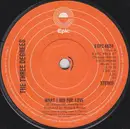7inch Vinyl Single - The Three Degrees - What I Did For Love