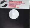LP - The Thrillseekers - Dreaming Of You