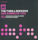 12inch Vinyl Single - The Thrillseekers - Dreaming Of You
