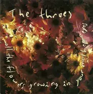 The Throes - All the Flowers Growing in Your Mother's Eyes
