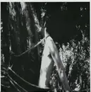 10'' - The Timebombs - Mumbling - FOC