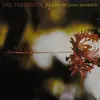 LP - The Truffauts - Flowers On Your Stomach