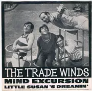 7inch Vinyl Single - The Trade Winds - Mind Excursion