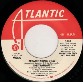 The Trammps - Breathtaking View