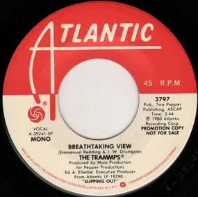 The Trammps - Breathtaking View