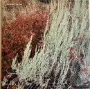 LP - The Tree Ring - Brushbloom - incl. Insert