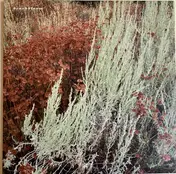 The Tree Ring - Brushbloom