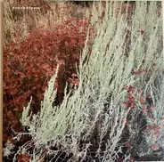 The Tree Ring - Brushbloom