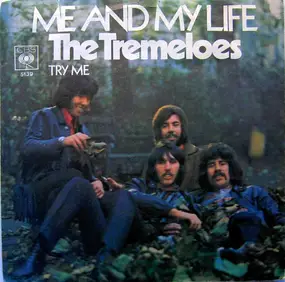 The Tremeloes - Me And My Life
