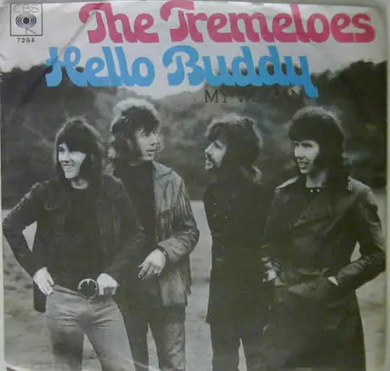 The Tremeloes - Hello Buddy