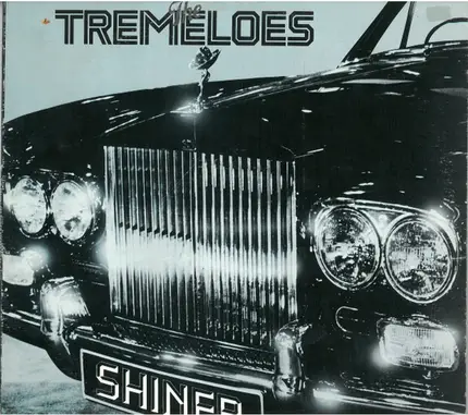 The Tremeloes - Shiner