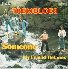 The Tremeloes - Someone