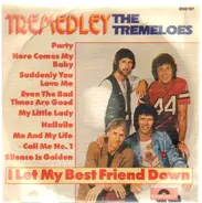 The Tremeloes - Tremedley / I Let My Best Friend Down