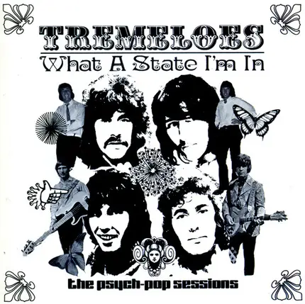 The Tremeloes - What A State I'm In